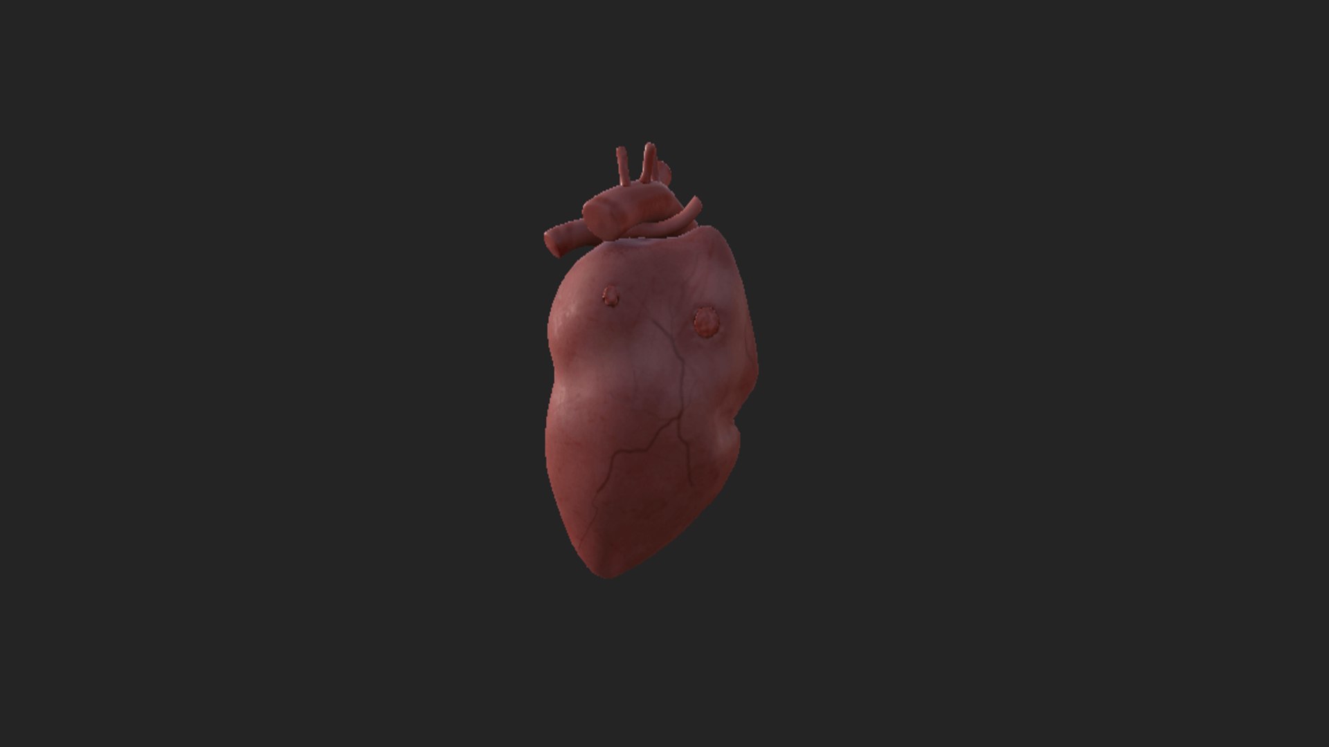 3D Heart https://p.turbosquid.com/ts-thumb/eK/koIPE0/aT/capturadepantalla20250709193518/png/1752107920/1920x1080/fit_q87/33e6023e3728c435e9ba76e062f5a4399b945373/capturadepantalla20250709193518.jpg