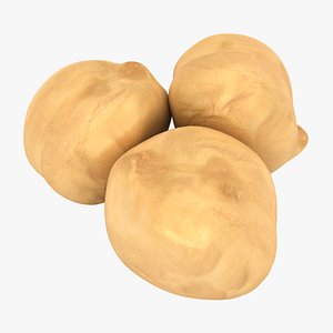 realistic chickpeas model