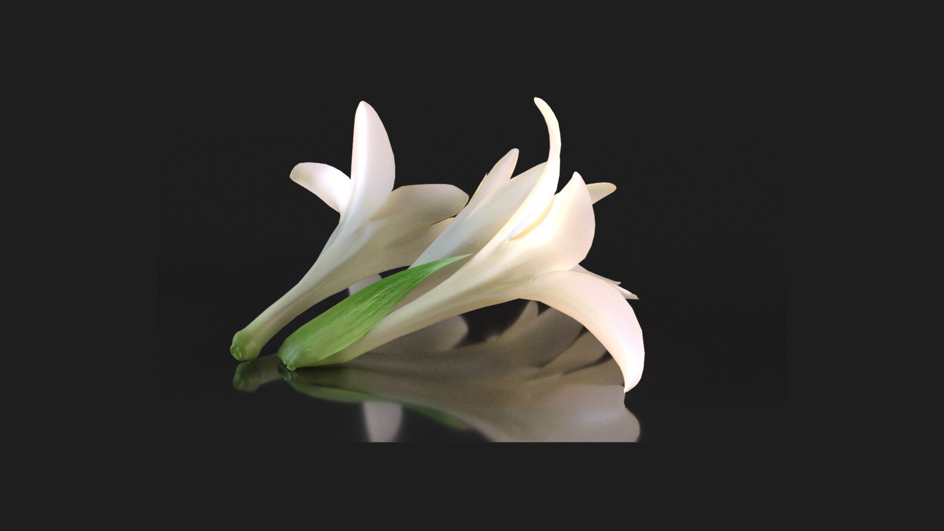 3D polianthes flower https://p.turbosquid.com/ts-thumb/eK/n3JRi4/p4/rxmg/jpg/1781536408/1920x1080/fit_q87/2bd21cb3c3b6c149a46cef930ae19324ff91412c/rxmg.jpg