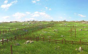 Nature Meadow Environment 3D model