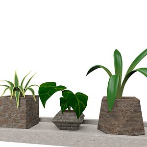 3D Leaves in flower pots model