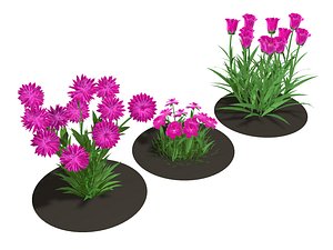 3D flower pink model