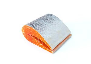 3D Fish Cut Piece model