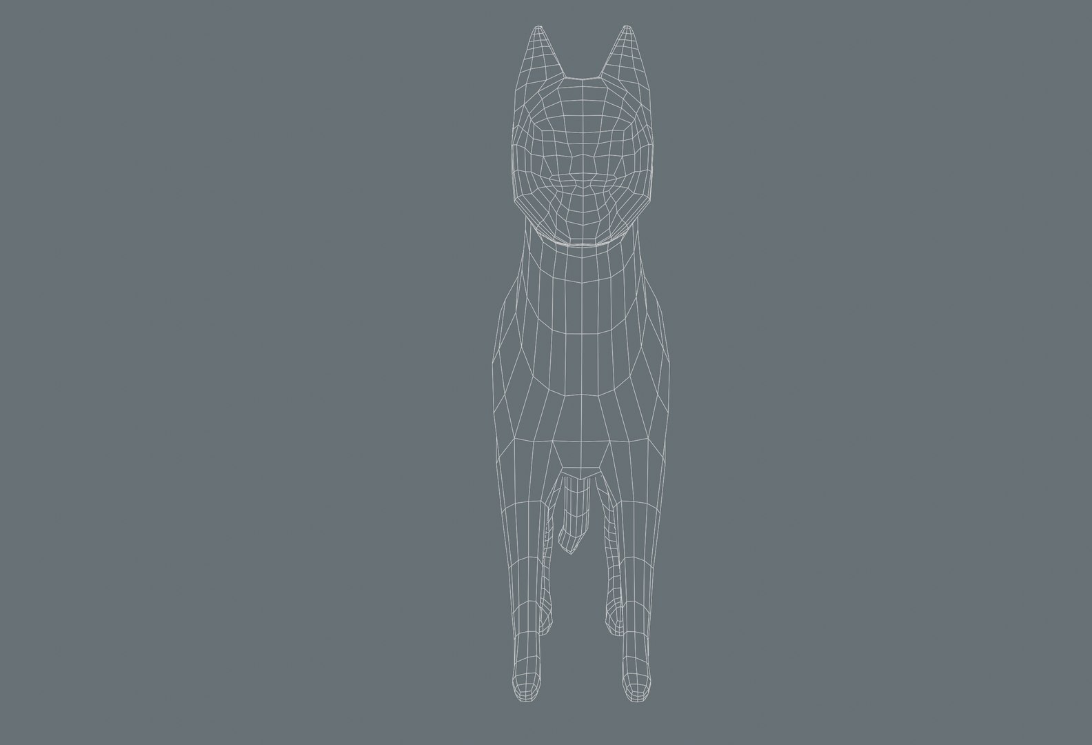 Cat 3D Low-poly Model Rigged Model - TurboSquid 1803607