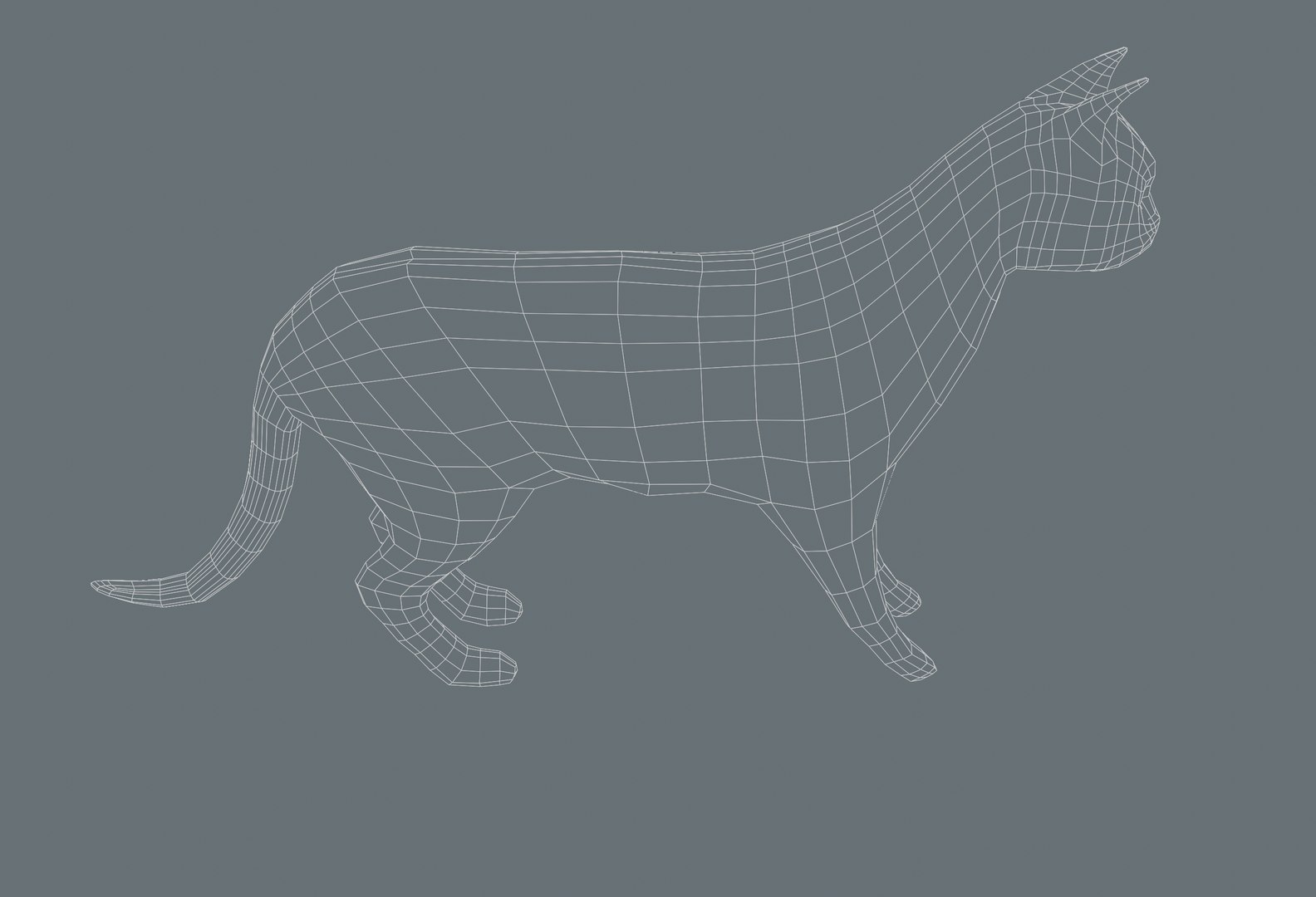 Cat 3D Low-poly Model Rigged Model - TurboSquid 1803607