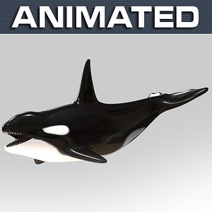 max killer whale