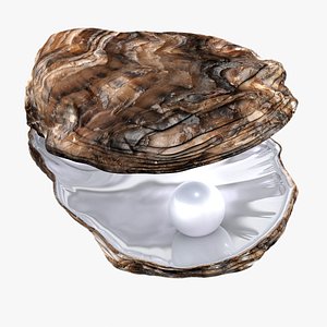 modeled oyster pearl 3d 3ds