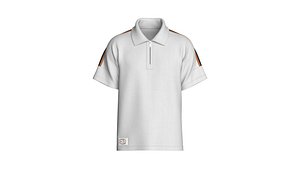 Men Linear Grey Polo With Zip model