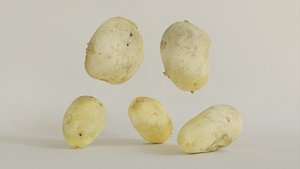 Realistic Potato pack of 5 - asset 3D model