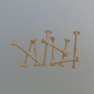 3D bone fence model