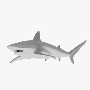 Blender Shark Model Download - Colaboratory