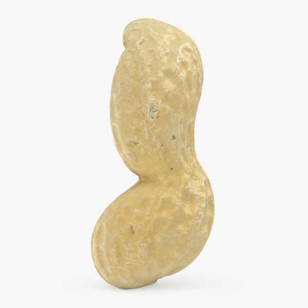 Peanut Shell 01 3D model - TurboSquid 1955286