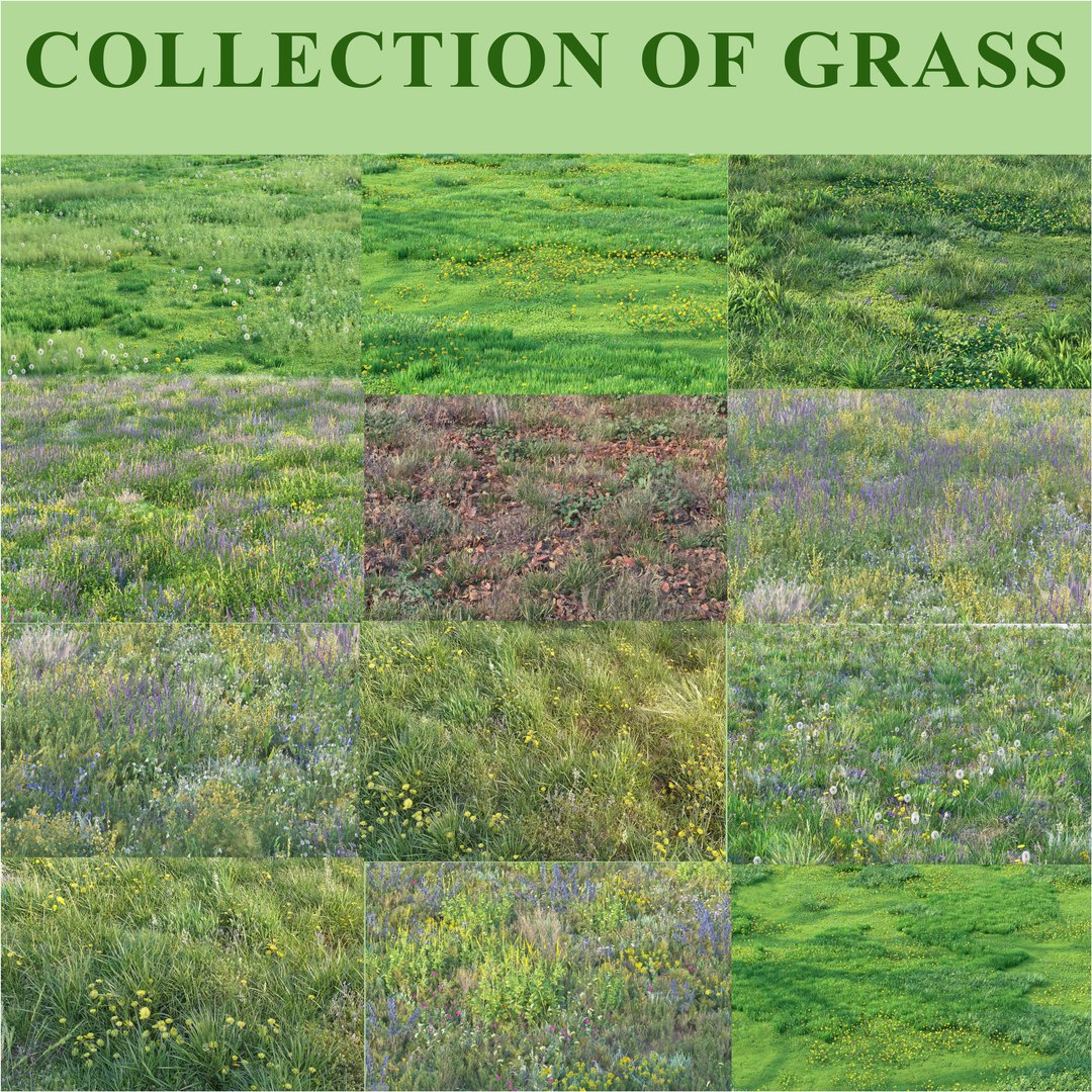 Grass model https://p.turbosquid.com/ts-thumb/eL/lWAgm8/if/preview/jpg/1749913631/1920x1080/fit_q87/7e0c3b83411a15f0bc8a5385edd344b30a8340ae/preview.jpg