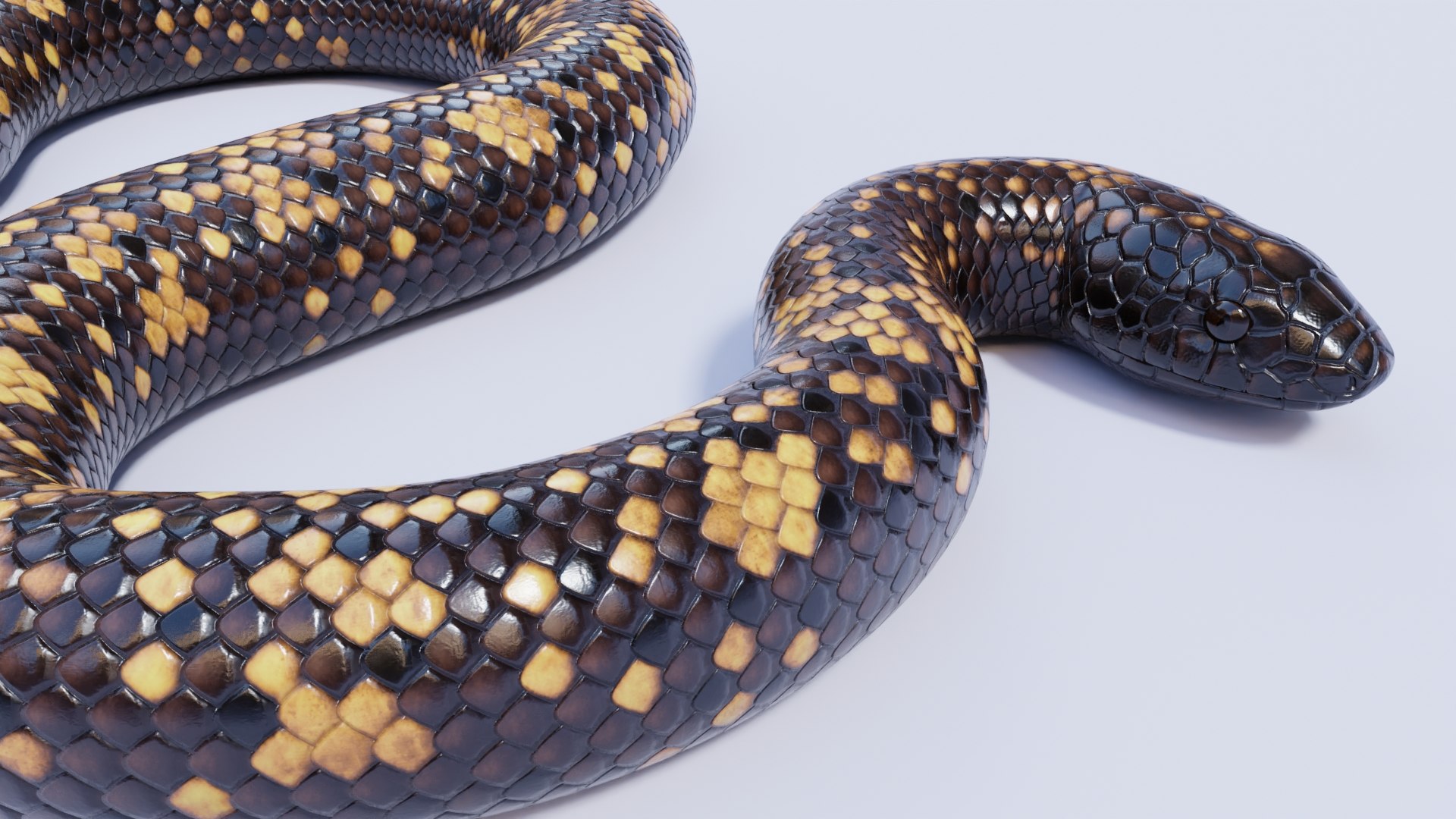 3D Model Animated Calabar Python - TurboSquid 1950262
