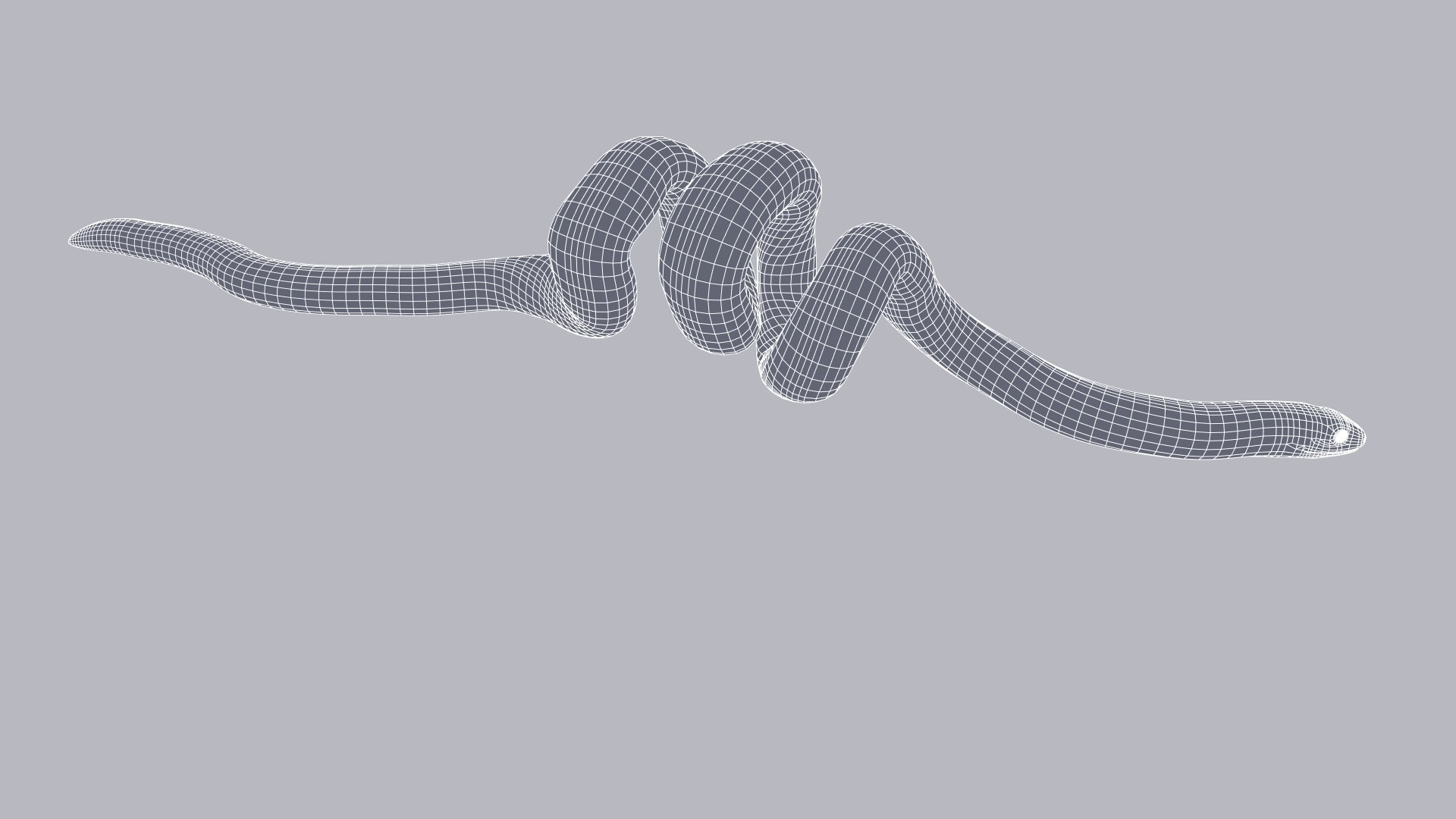 3D model Animated Calabar Python https://p.turbosquid.com/ts-thumb/eL/u8Z5pS/SF/calabarpython_prev_wire_011/jpg/1661636461/1920x1080/fit_q87/e26e0757b86eb771312ad6c72d9279150fc0cd8d/calabarpython_prev_wire_011.jpg