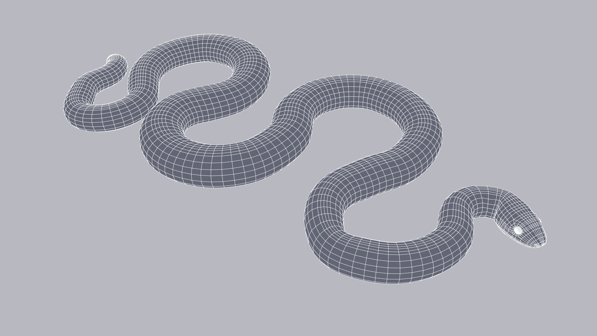 3D model Animated Calabar Python https://p.turbosquid.com/ts-thumb/eL/u8Z5pS/n1/calabarpython_prev_wire_014/jpg/1661636462/1920x1080/fit_q87/6dd6117ac2c7afcb4b3eb6e0e6101fa502f4ce8c/calabarpython_prev_wire_014.jpg