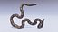 Animated Calabar Python