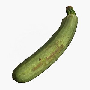 Photoscanned Photogrammetry Zucchini Vegetable 4k