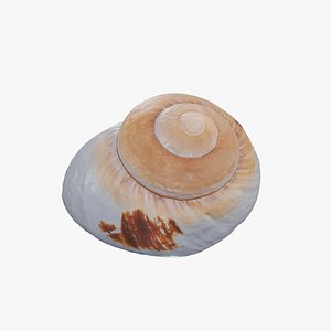 Anydrafts Sea snail 09 3D model
