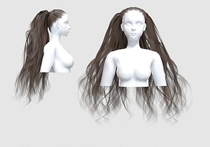 3D model Two Ponytails Hair