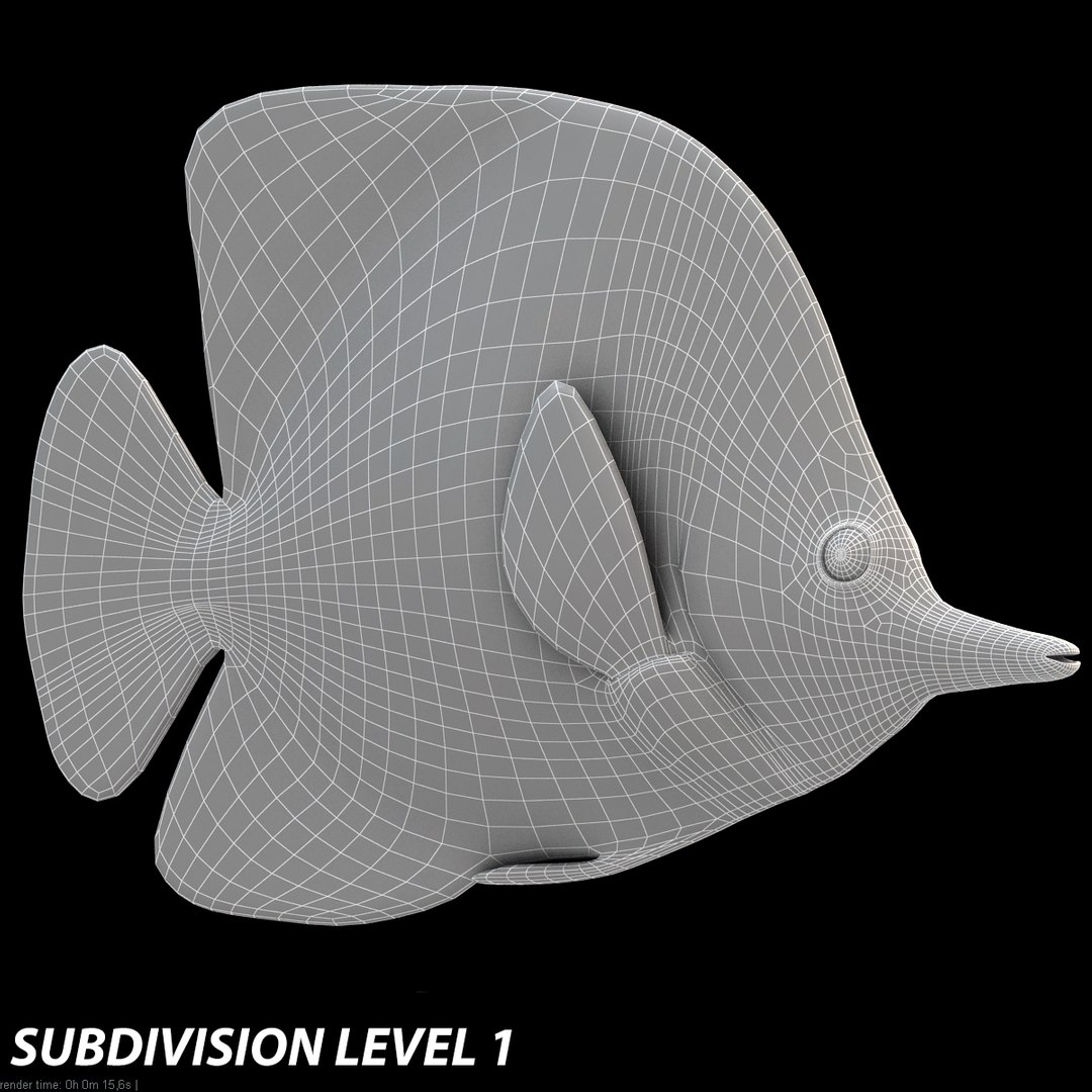 3d buterfly tropical fish model