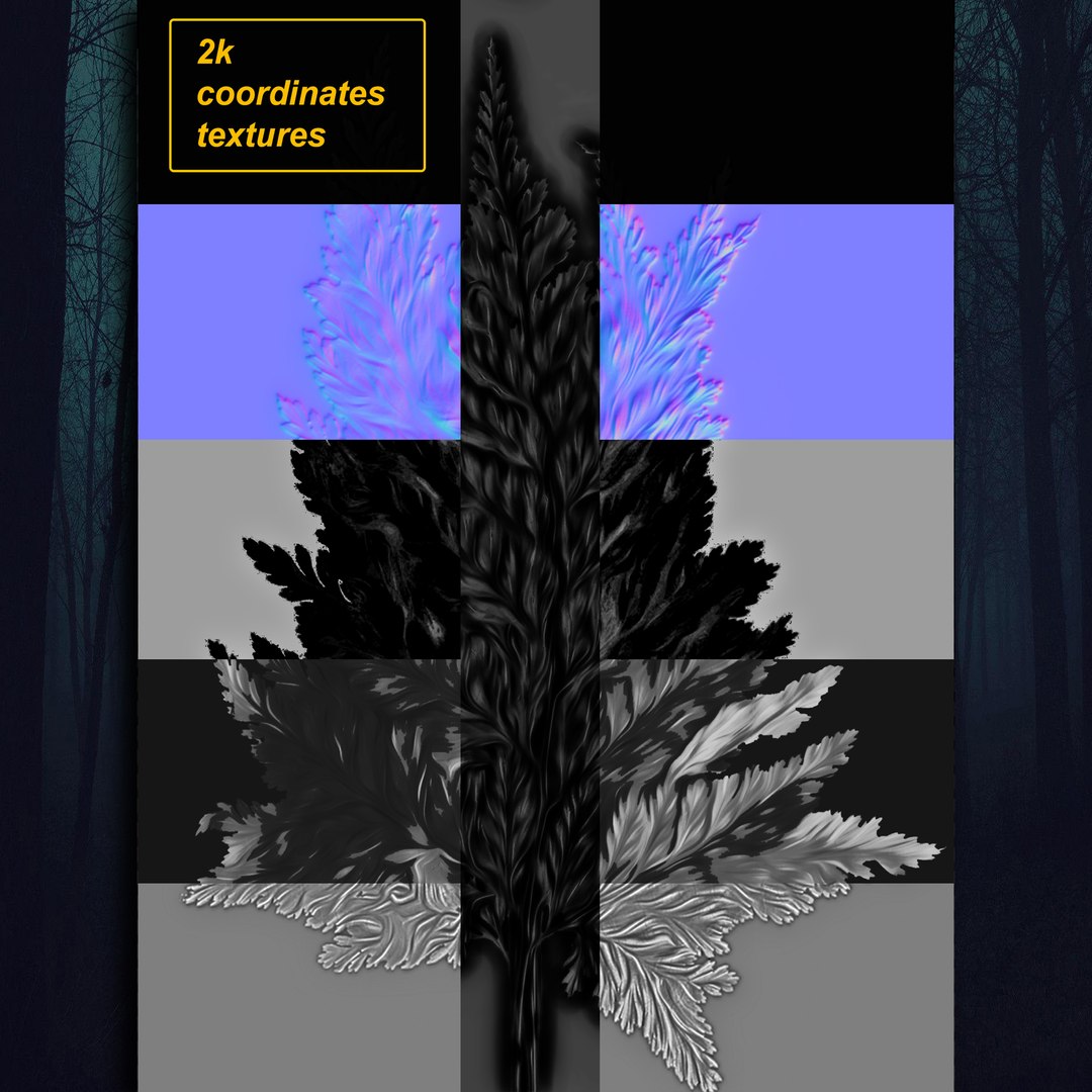bracken fern bush 3D https://p.turbosquid.com/ts-thumb/eM/95RvCE/1ZzOigbt/3/jpg/1543321646/1920x1080/fit_q87/5d40a25dd41f4dd26a3966b45df279ca6fe2dfcb/3.jpg
