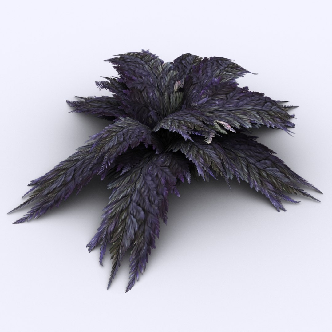 bracken fern bush 3D https://p.turbosquid.com/ts-thumb/eM/95RvCE/CKWnV0HM/aphrodite/jpg/1543321864/1920x1080/fit_q87/ff22484f2ad5214aee81cfcc2cd24e78edfb95d8/aphrodite.jpg