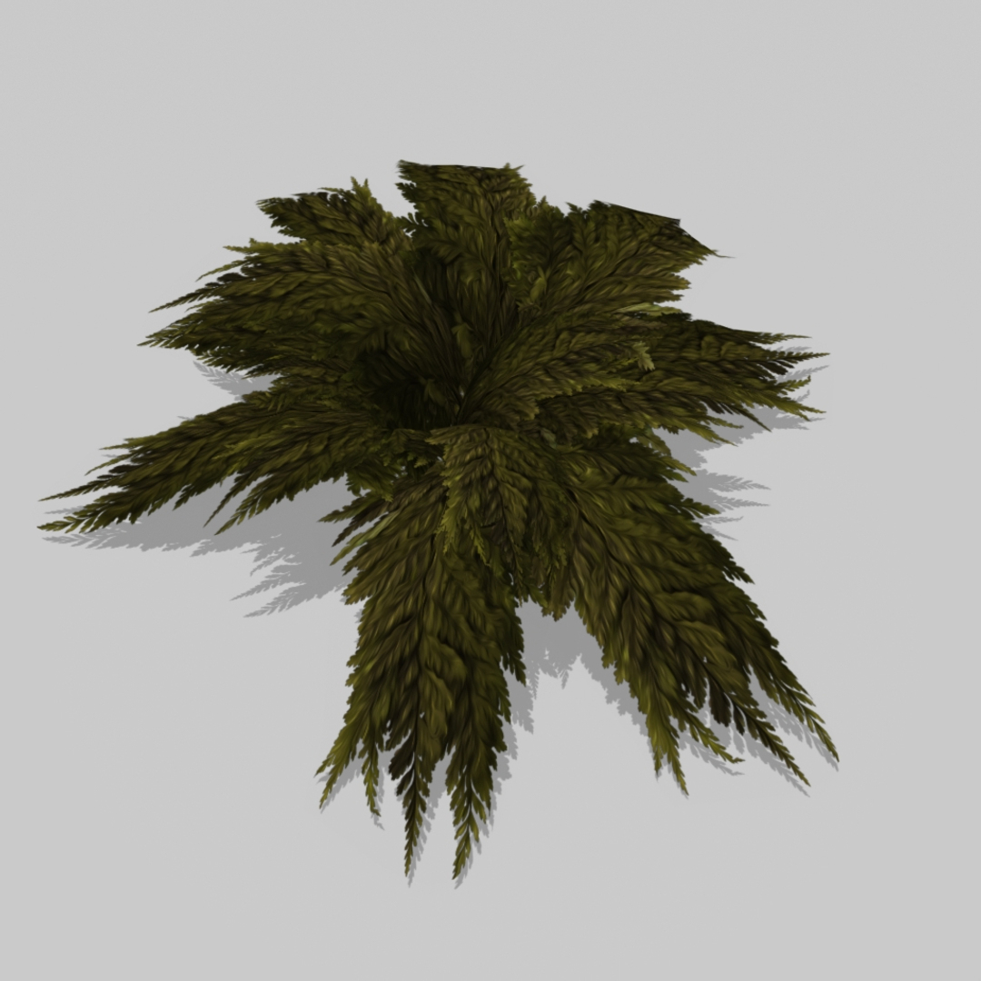 bracken fern bush 3D https://p.turbosquid.com/ts-thumb/eM/95RvCE/Dnfac8Lg/01/jpg/1543322787/1920x1080/turn_fit_q99/c0e7b40c1a7ebc9b786603687dd485e2a1d0b27d/01-1.jpg
