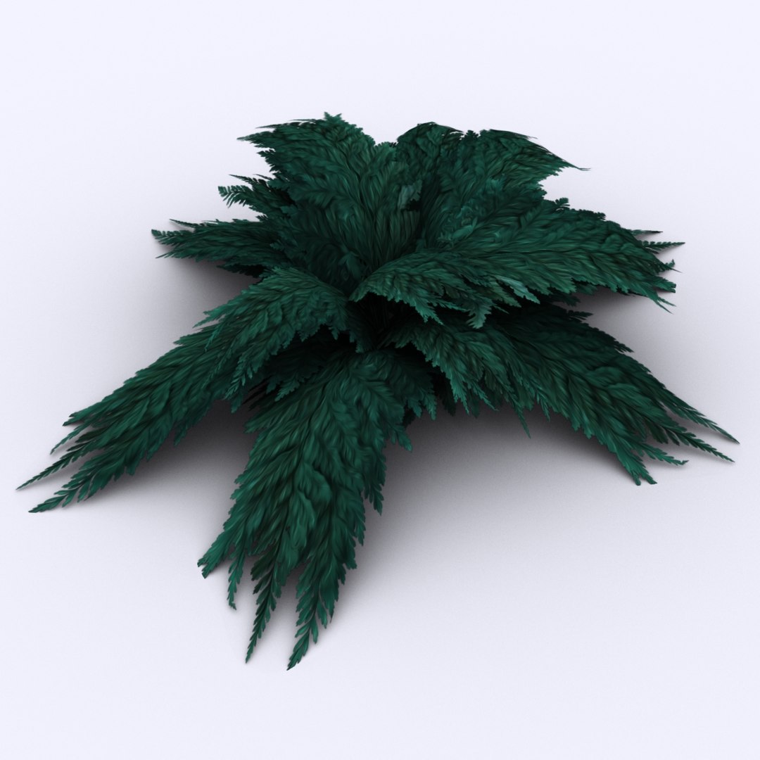 bracken fern bush 3D https://p.turbosquid.com/ts-thumb/eM/95RvCE/ST0chd1V/greygreen/jpg/1543321864/1920x1080/fit_q87/5db8e6d49a977d2552735335c0d87744d5311318/greygreen.jpg