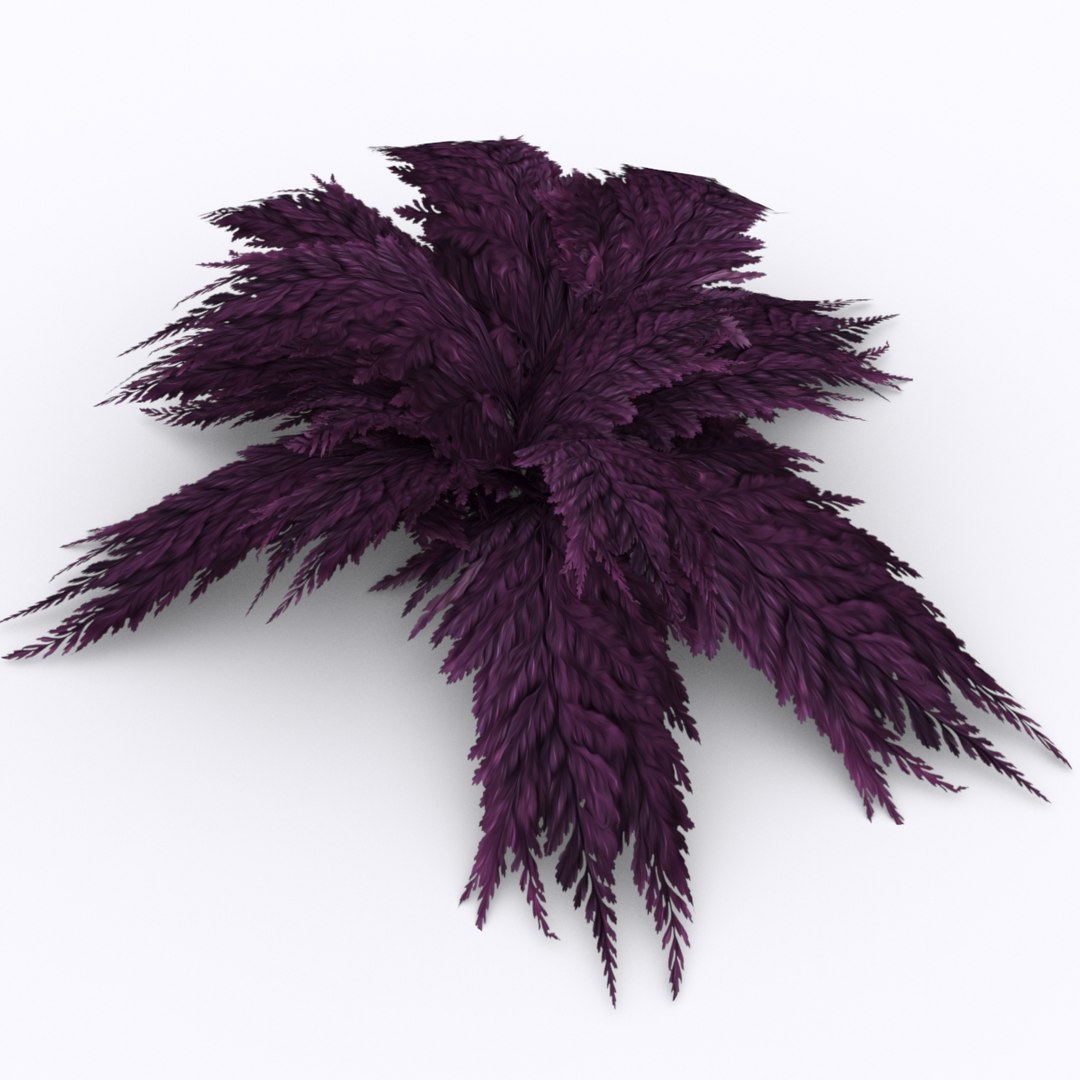 bracken fern bush 3D https://p.turbosquid.com/ts-thumb/eM/95RvCE/amOFOeV7/purpel/jpg/1543321864/1920x1080/fit_q87/25c83294aa787f175002fd6fd87ab74b9e810252/purpel.jpg