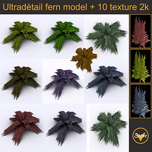 bracken fern bush 3D