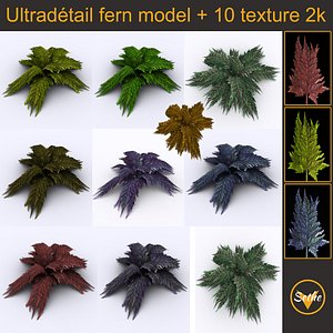 Fern - Game asset