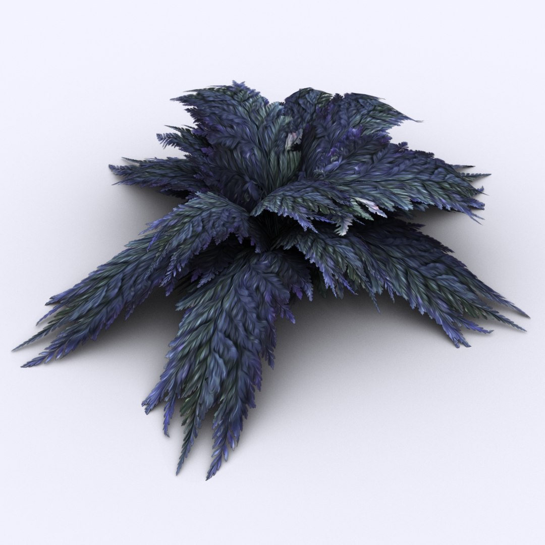 bracken fern bush 3D https://p.turbosquid.com/ts-thumb/eM/95RvCE/oBVXjMfP/iceland/jpg/1543321864/1920x1080/fit_q87/189e1fcdf2232af155dc6d541cbfd25689f9df41/iceland.jpg