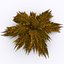Fern - Game asset