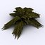 Fern - Game asset