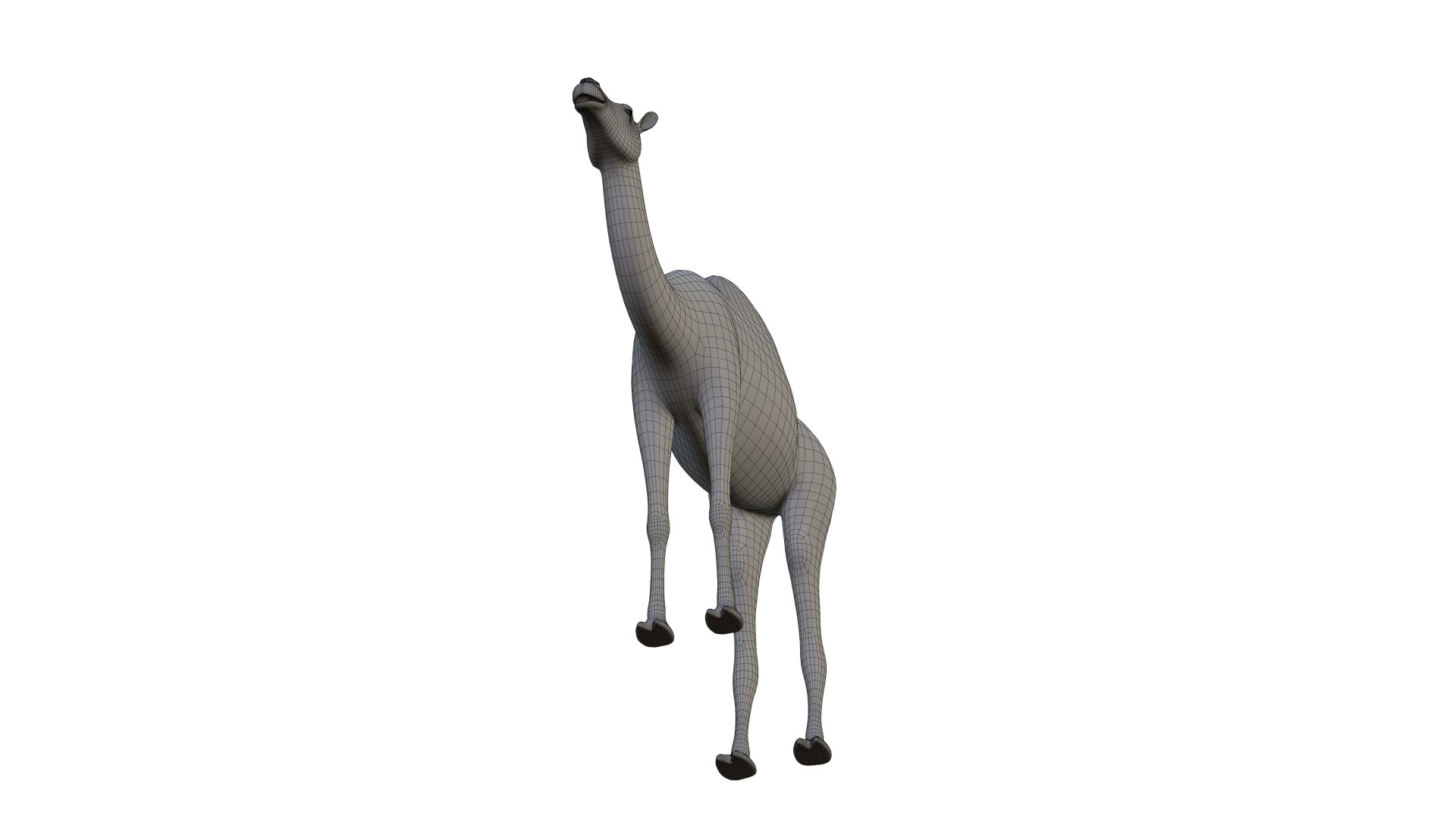 Camel 3d Model 3D model https://p.turbosquid.com/ts-thumb/eM/AQLJTP/Dr/wireframe7/jpg/1717856674/1920x1080/fit_q87/2d6d75d9dea540e5b3052c433589c7cffacaefaf/wireframe7.jpg