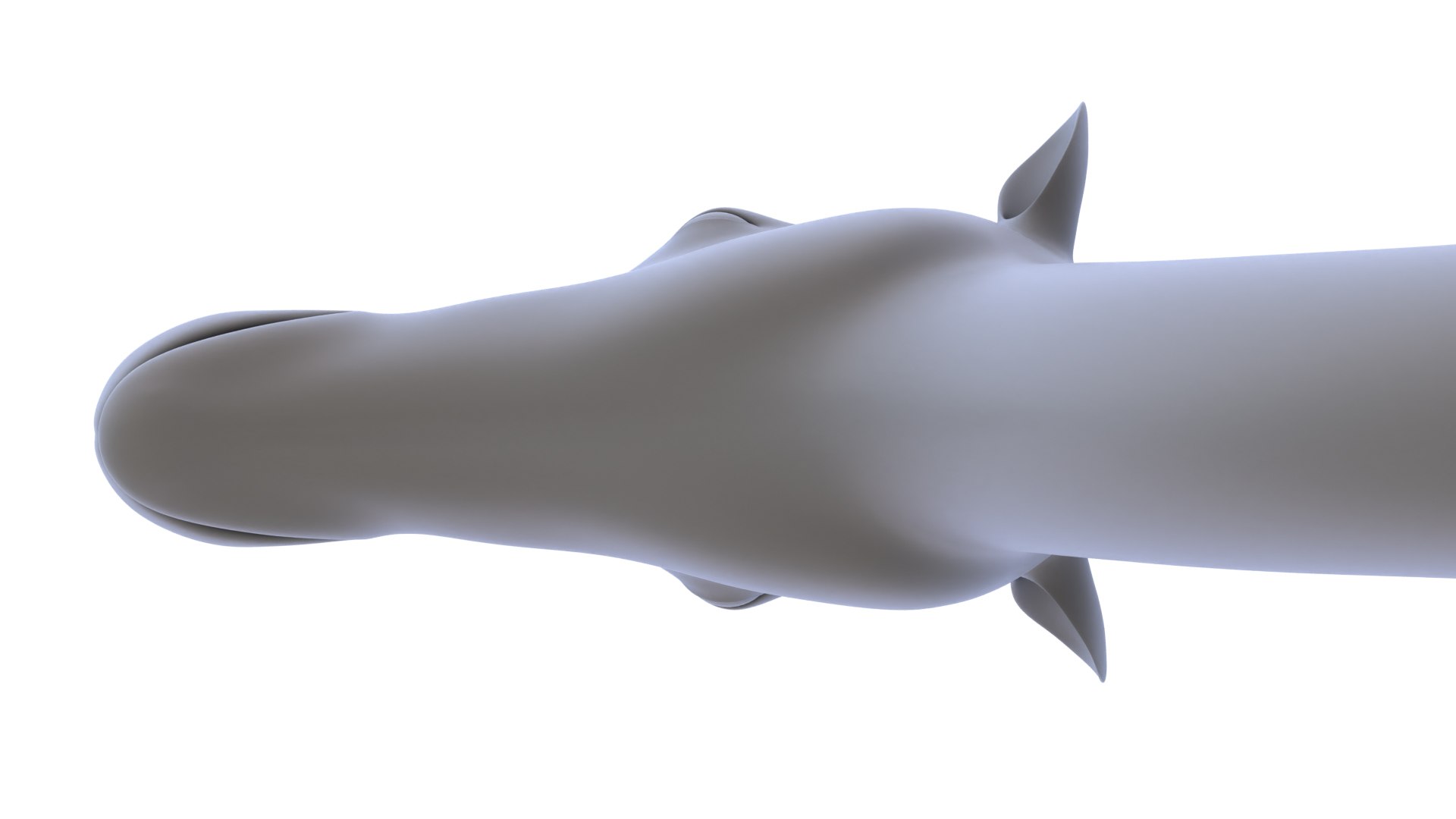 Camel 3d Model 3D model https://p.turbosquid.com/ts-thumb/eM/AQLJTP/FO/9/jpg/1717856663/1920x1080/fit_q87/b1fb0b320921ffdad46181f7151d85a1bfc39929/9.jpg