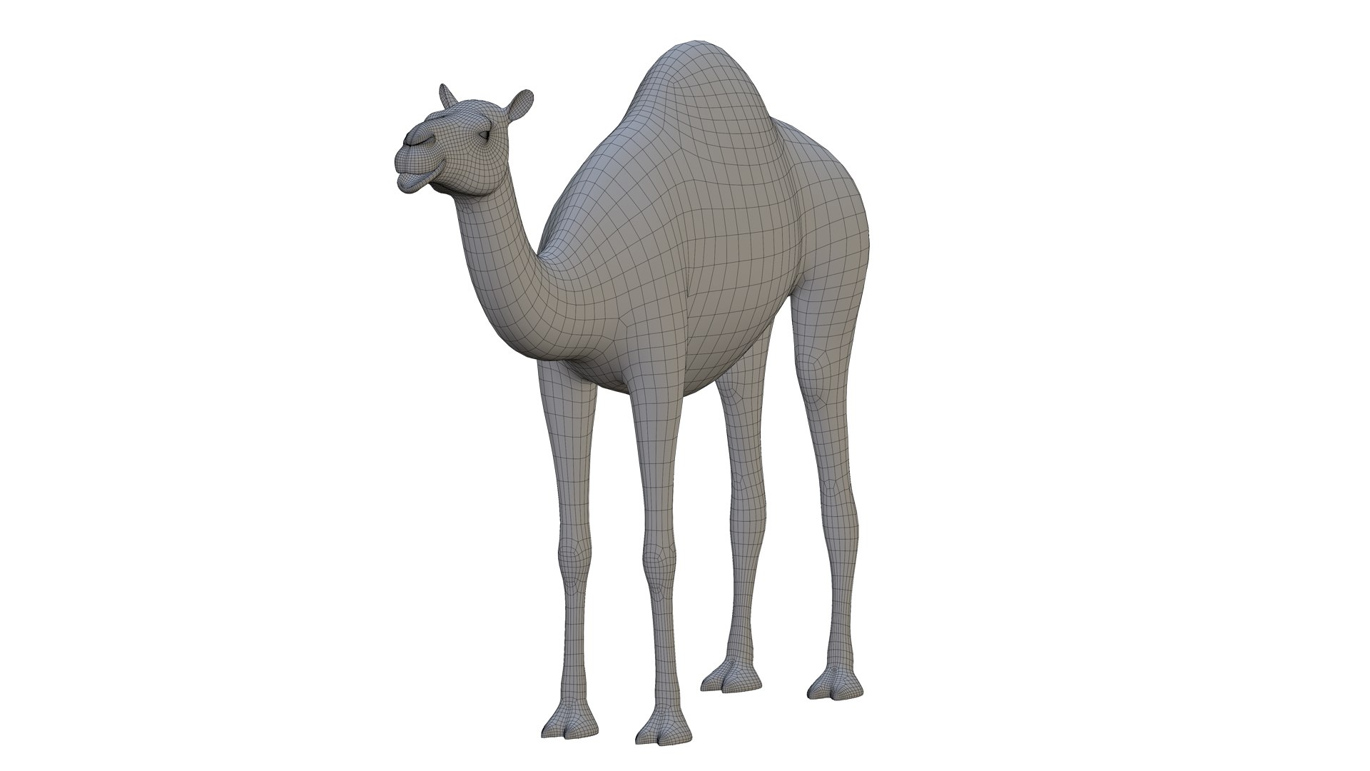 Camel 3d Model 3D model https://p.turbosquid.com/ts-thumb/eM/AQLJTP/Ly/wireframe2/jpg/1717856672/1920x1080/fit_q87/02fd170118cd479d2cca3d61ccc5c6487ce00acd/wireframe2.jpg