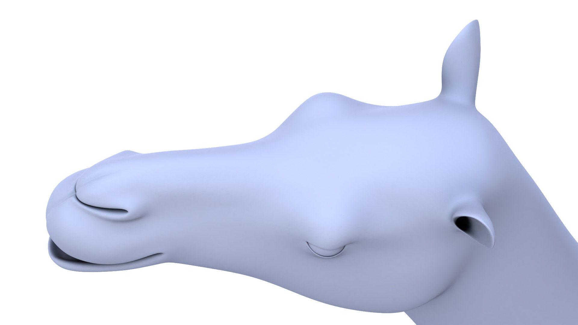 Camel 3d Model 3D model https://p.turbosquid.com/ts-thumb/eM/AQLJTP/MR/12/jpg/1717856664/1920x1080/fit_q87/64b5a3f535d5c470fc31a9052ee8f06f287826f0/12.jpg