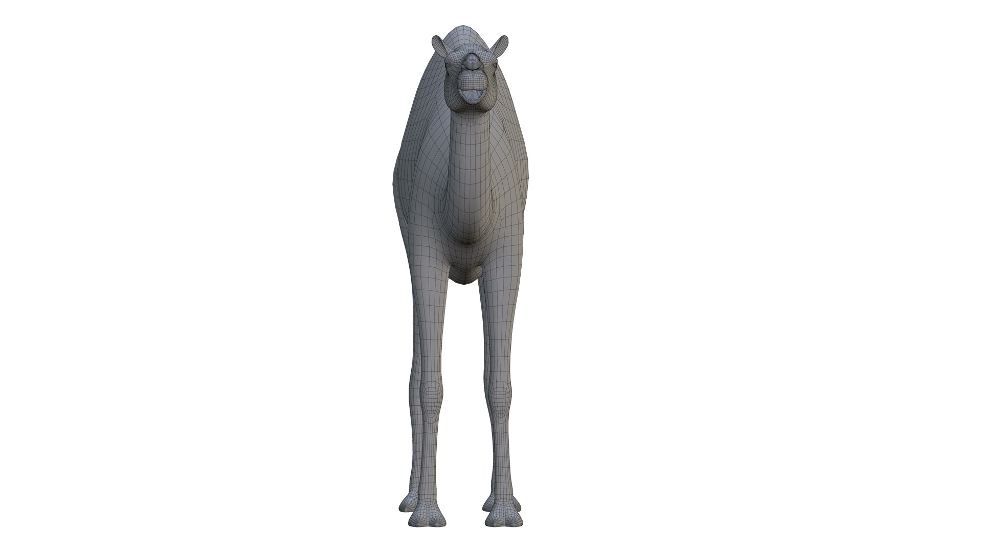 Camel 3d Model 3D model https://p.turbosquid.com/ts-thumb/eM/AQLJTP/Zg/wireframe1/jpg/1717856668/1920x1080/fit_q87/45f7f0b322cff264db05a4e7770a9928a083345b/wireframe1.jpg