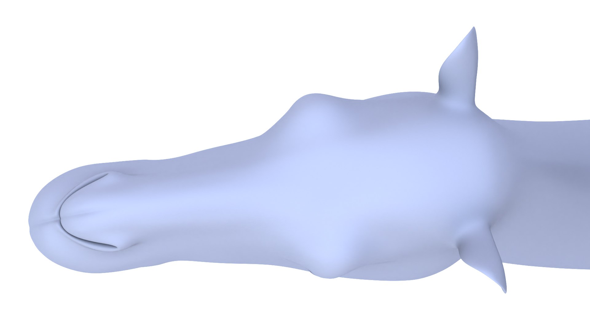 Camel 3d Model 3D model https://p.turbosquid.com/ts-thumb/eM/AQLJTP/xT/11/jpg/1717856665/1920x1080/fit_q87/9683cb5d83157ac449cd117bd77f0baeb1880244/11.jpg