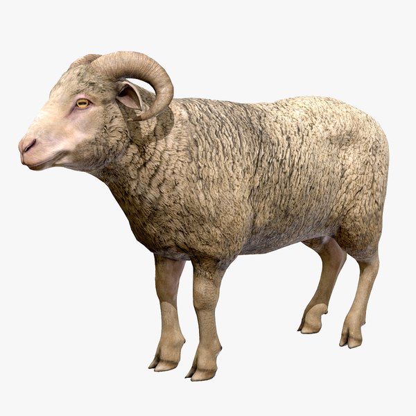 Ram model