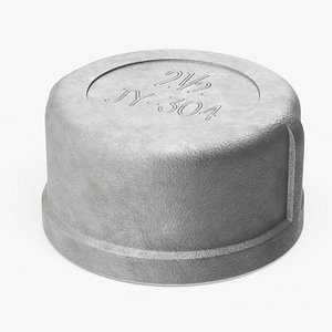 3D Fitting Cap SS304