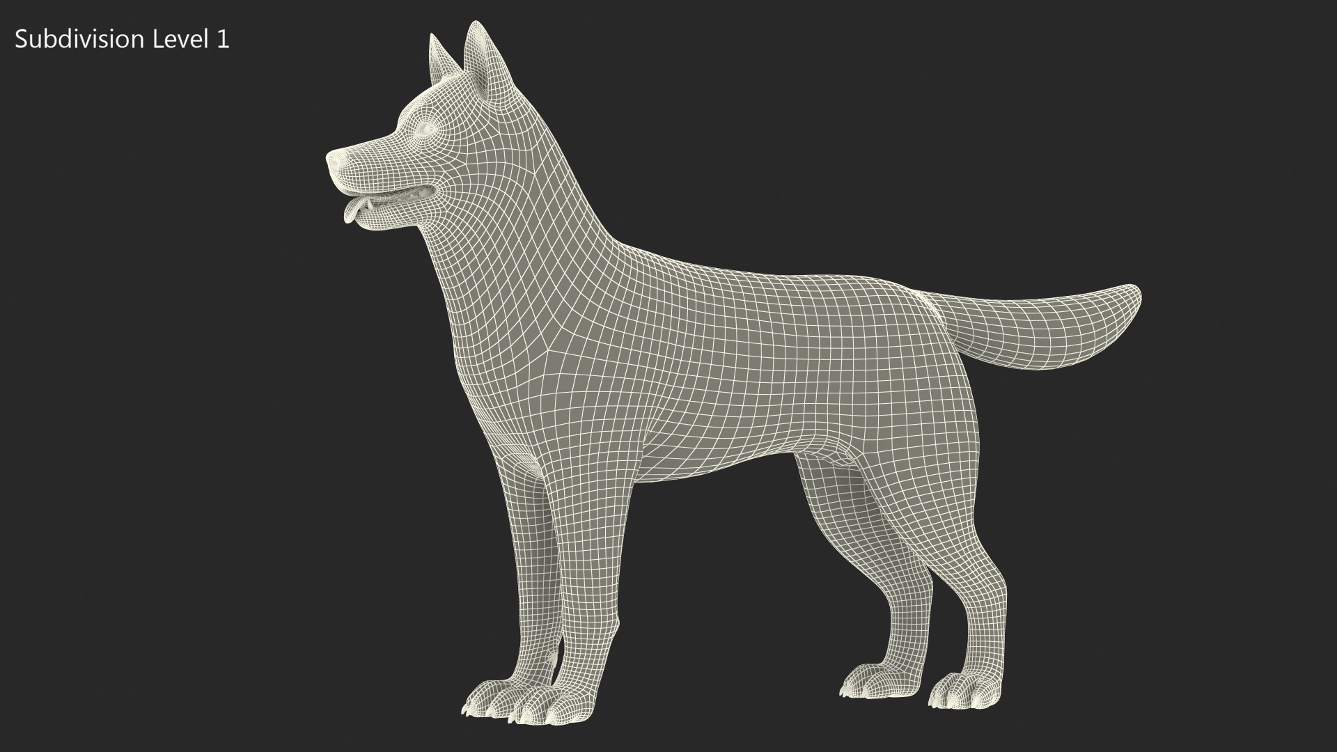 3D model Husky Dog Copper and White Coat Rigged for Maya https://p.turbosquid.com/ts-thumb/eM/TQ0tOp/27/huskydogcopperandwhitecoatrigged3dsmodel032/jpg/1634861120/1920x1080/fit_q87/c826a69fc1d5946f91185dcf36d813586f936d9d/huskydogcopperandwhitecoatrigged3dsmodel032.jpg