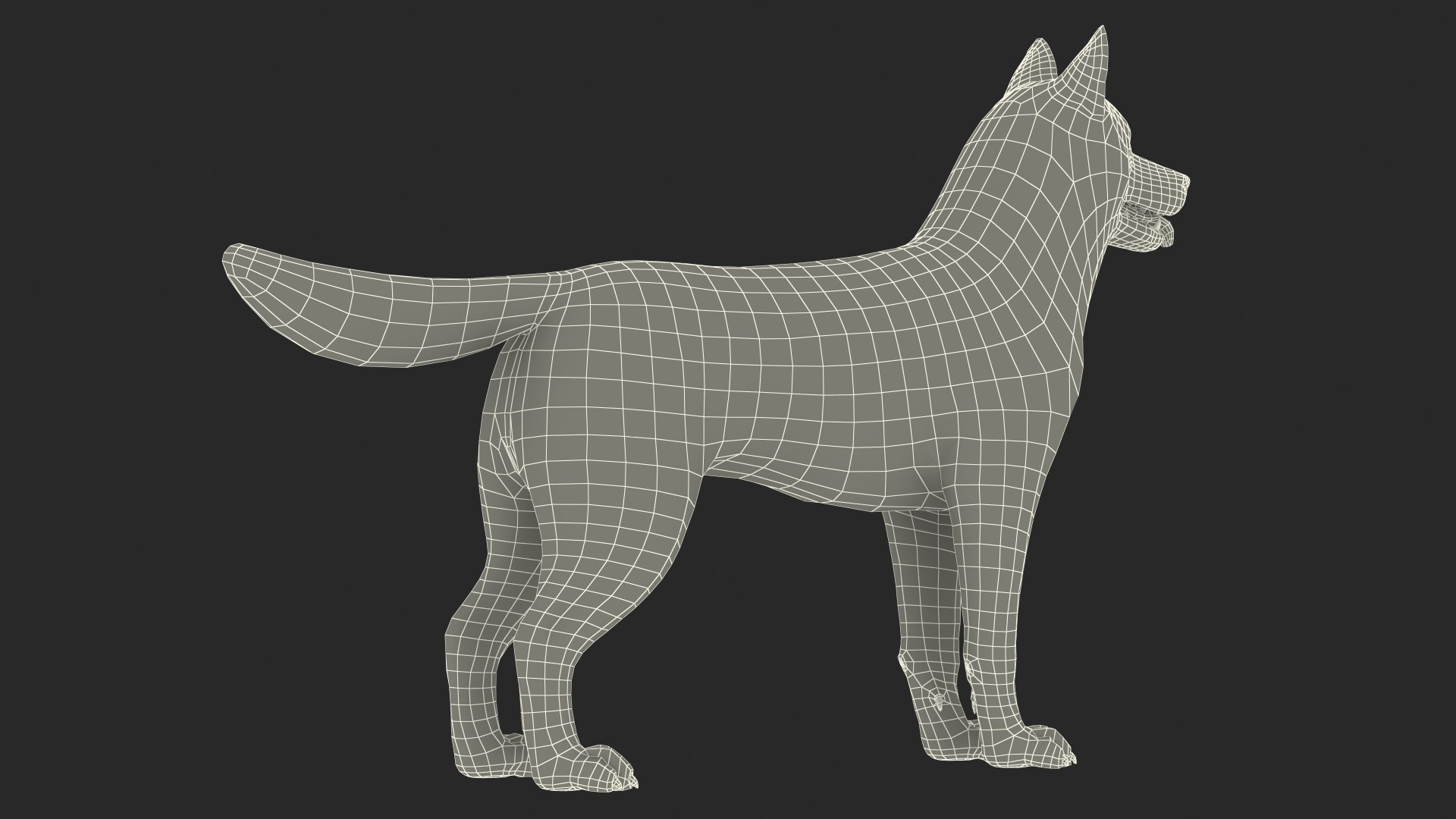 3D model Husky Dog Copper and White Coat Rigged for Maya https://p.turbosquid.com/ts-thumb/eM/TQ0tOp/Ad/huskydogcopperandwhitecoatrigged3dsmodel036/jpg/1634861131/1920x1080/fit_q87/56df7e194ec0f86e64468660f14d08c39e04e08d/huskydogcopperandwhitecoatrigged3dsmodel036.jpg