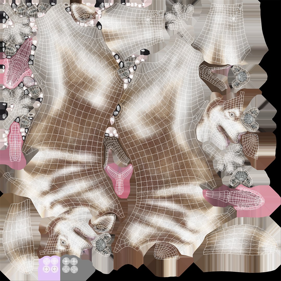3D model Husky Dog Copper and White Coat Rigged for Maya https://p.turbosquid.com/ts-thumb/eM/TQ0tOp/CA/huskydogcopperandwhitecoatrigged3dsmodel033/jpg/1634861123/1920x1080/fit_q87/2008aec13509388308e0b4854e80f75a0f464013/huskydogcopperandwhitecoatrigged3dsmodel033.jpg