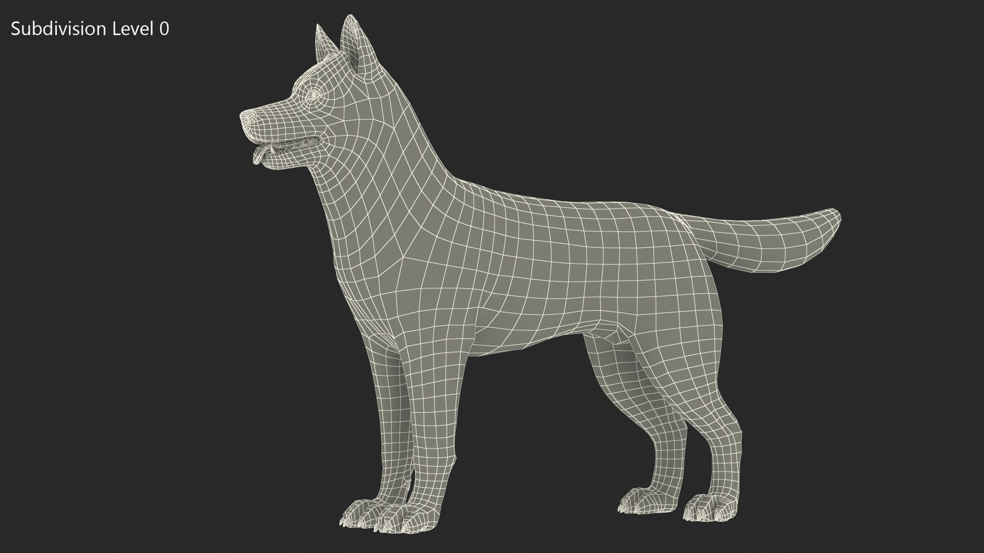 3D model Husky Dog Copper and White Coat Rigged for Maya https://p.turbosquid.com/ts-thumb/eM/TQ0tOp/CH/huskydogcopperandwhitecoatrigged3dsmodel031/jpg/1634861118/1920x1080/fit_q87/19536aca1062fe2d383f70cd449d9d5388624132/huskydogcopperandwhitecoatrigged3dsmodel031.jpg