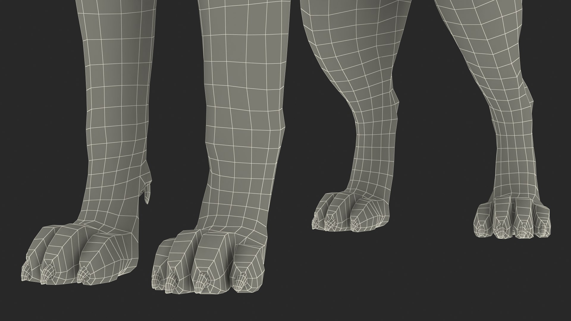 3D model Husky Dog Copper and White Coat Rigged for Maya https://p.turbosquid.com/ts-thumb/eM/TQ0tOp/NR/huskydogcopperandwhitecoatrigged3dsmodel043/jpg/1634861148/1920x1080/fit_q87/b4f09f13677c6be550804eae42ca0e05f3dde720/huskydogcopperandwhitecoatrigged3dsmodel043.jpg
