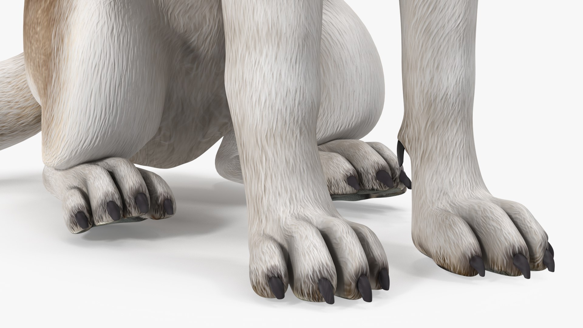 3D model Husky Dog Copper and White Coat Rigged for Maya https://p.turbosquid.com/ts-thumb/eM/TQ0tOp/kp/huskydogcopperandwhitecoatrigged3dsmodel028/jpg/1634861111/1920x1080/fit_q87/13fb20cf4538353b63130ab2b69bd9688856541f/huskydogcopperandwhitecoatrigged3dsmodel028.jpg