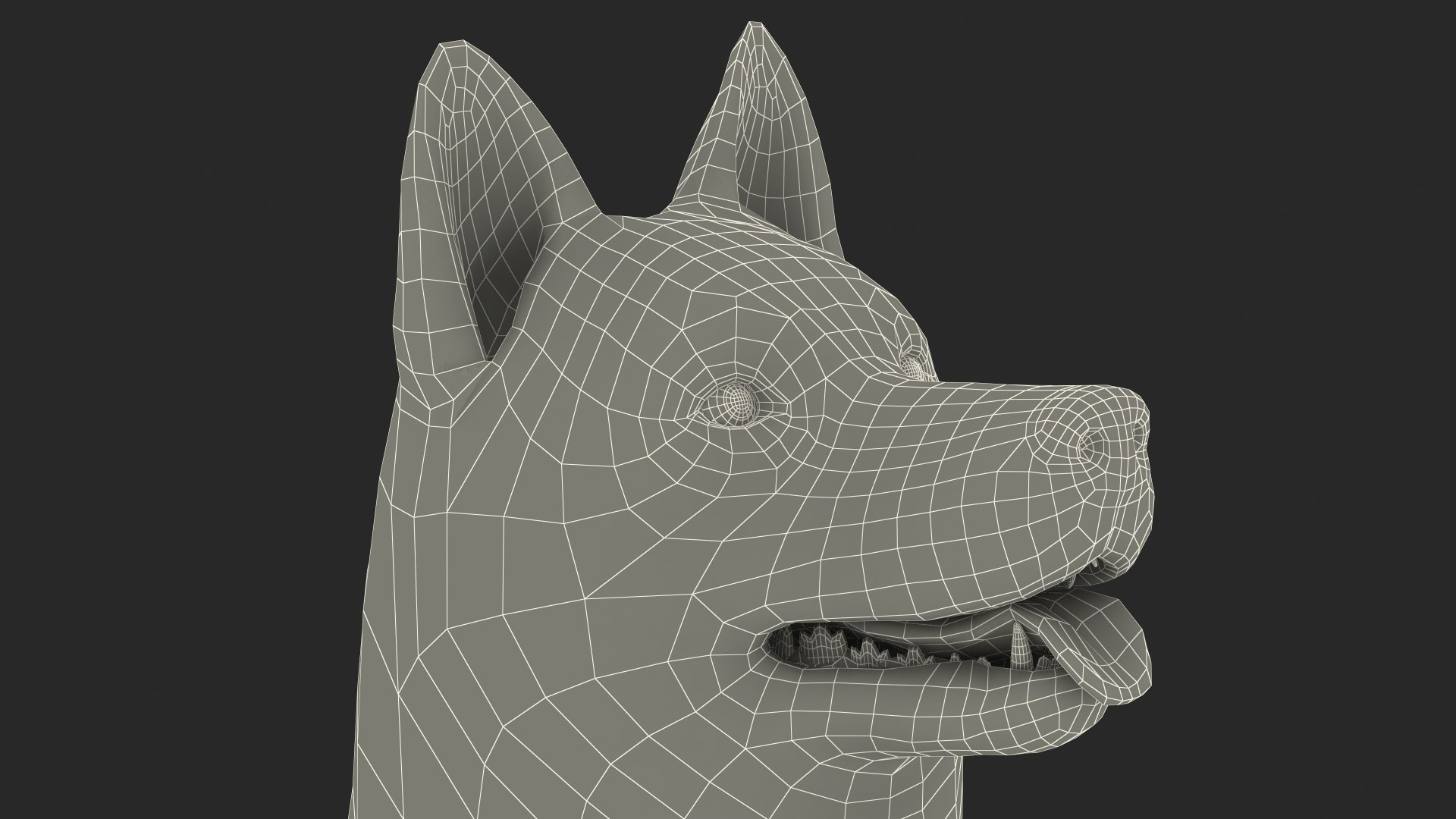 3D model Husky Dog Copper and White Coat Rigged for Maya https://p.turbosquid.com/ts-thumb/eM/TQ0tOp/wX/huskydogcopperandwhitecoatrigged3dsmodel041/jpg/1634861142/1920x1080/fit_q87/2222dd548c46d991cceeef7202a1d96a9e08eaa1/huskydogcopperandwhitecoatrigged3dsmodel041.jpg